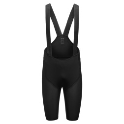 GORE Fernflow Liner Bib Shorts+ Mens black