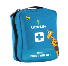 Mini First Aid Kit