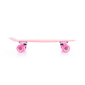 Holčičí pennyboard