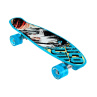 Skateboard BEACH BOARD Glow Rough Poster