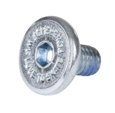 Hex Mounting Screw 10mm