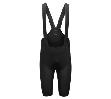 GORE Fernflow Liner Bib Shorts+ Mens black