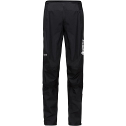 GORE Endure Pants Mens black