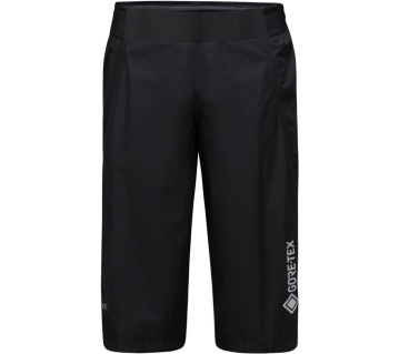 GORE Endure Shorts black