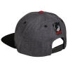 Wicked Logo Cap