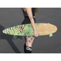 Pintail longboard green